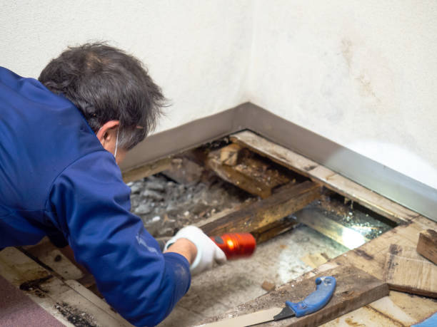 Best Crawl Space Mold Removal  in Batesburg Leesville, SC
